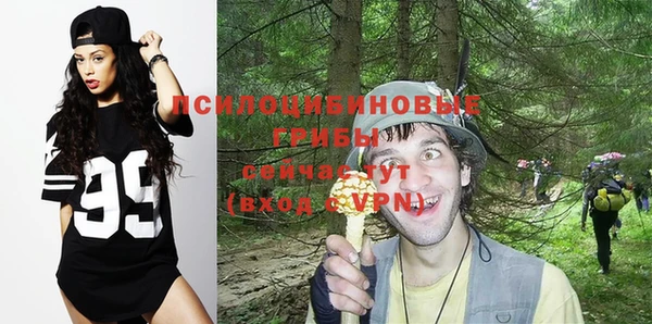 мяу мяу мука Волоколамск