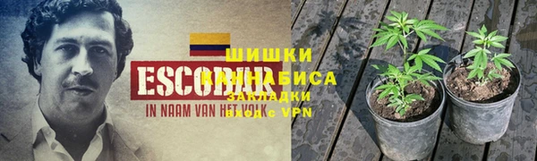 амф Володарск