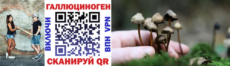 hydra вход  Евпатория  Псилоцибиновые грибы мицелий  дарнет шоп 